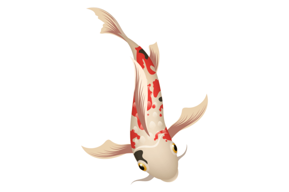 Aquarium Koi Graphics for Digital Sellers