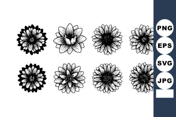 Black and White Hand Drawn Decorative Fl Graphics