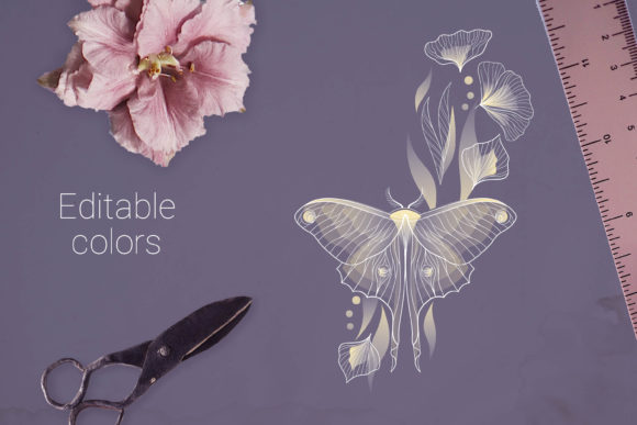 Butterfly Decorative Elements: Elegant Graphics & Illustrations