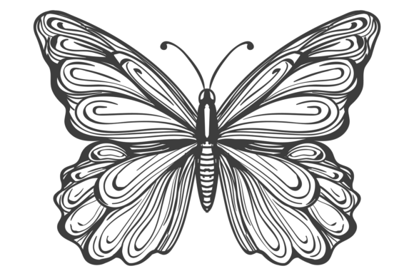 Decorative Butterfly Drawing for Graphics and Illustrations