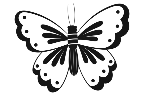 Decorative Butterfly Drawing. Summer Nat: Graphics & Illustrations