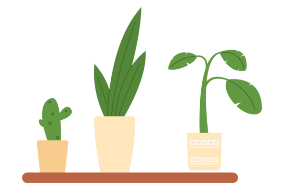 Home Garden Shelf with Decorative Green